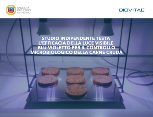 Università di Salerno: studio indipendente testa l’efficacia della luce visibile blu-violetto per il controllo microbiologico della carne cruda