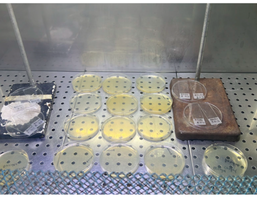 New study confirms the effectiveness of non-UV antimicrobial blue light technology